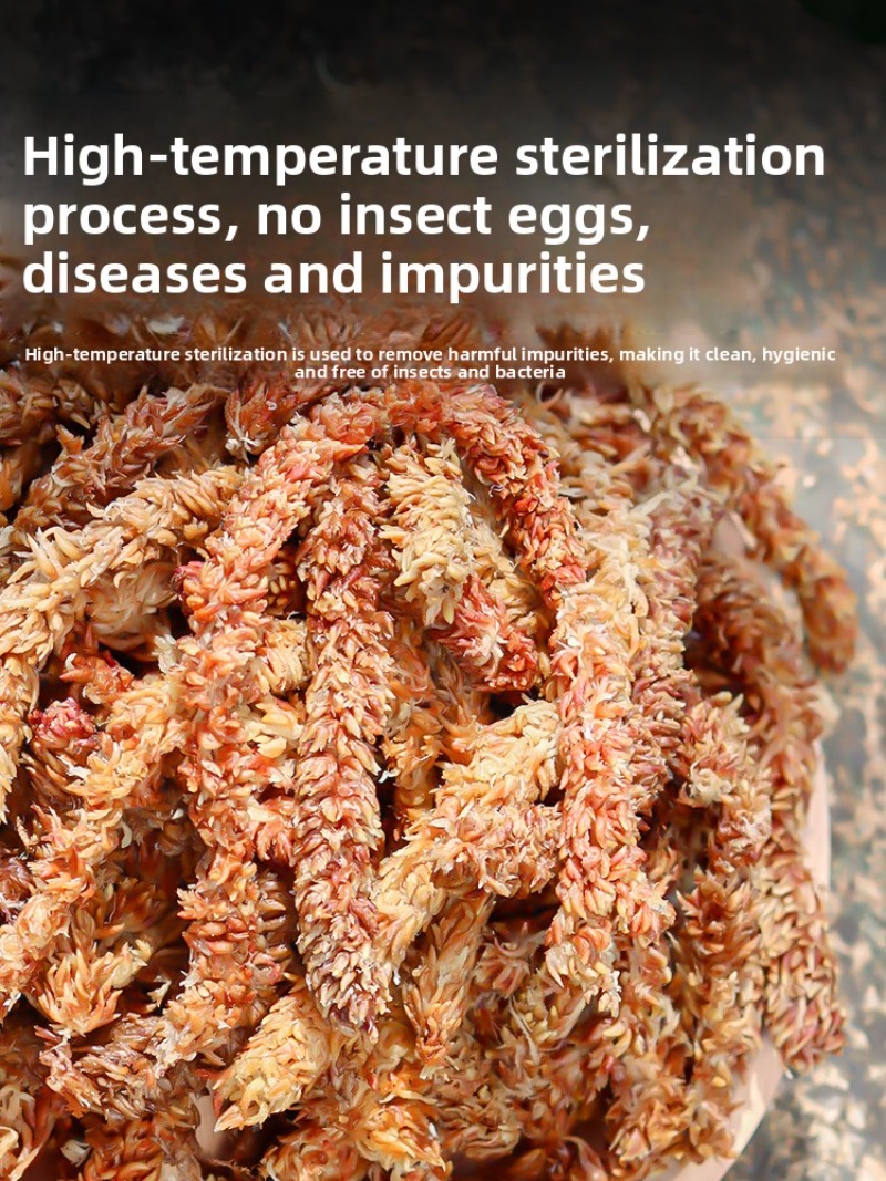 Чилийский сфагнум 100 г, 200 г – обзор и цена Sphagnum Moss Dry